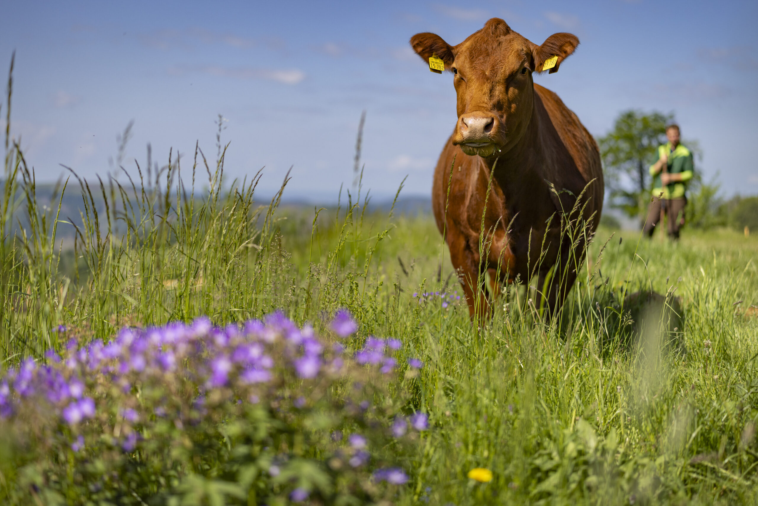 Öko-Modellregion Landkreis Goslar